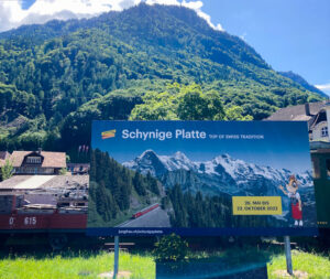 Schynige Platte in Zwitserland